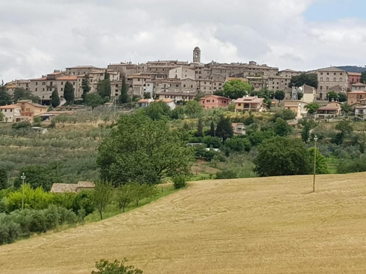 Bed and Breakfast Al Ginepro à Montecchio  Extérieur photo