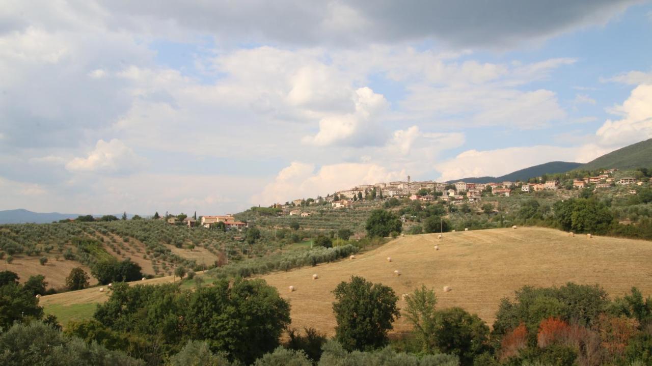 Bed and Breakfast Al Ginepro à Montecchio  Extérieur photo